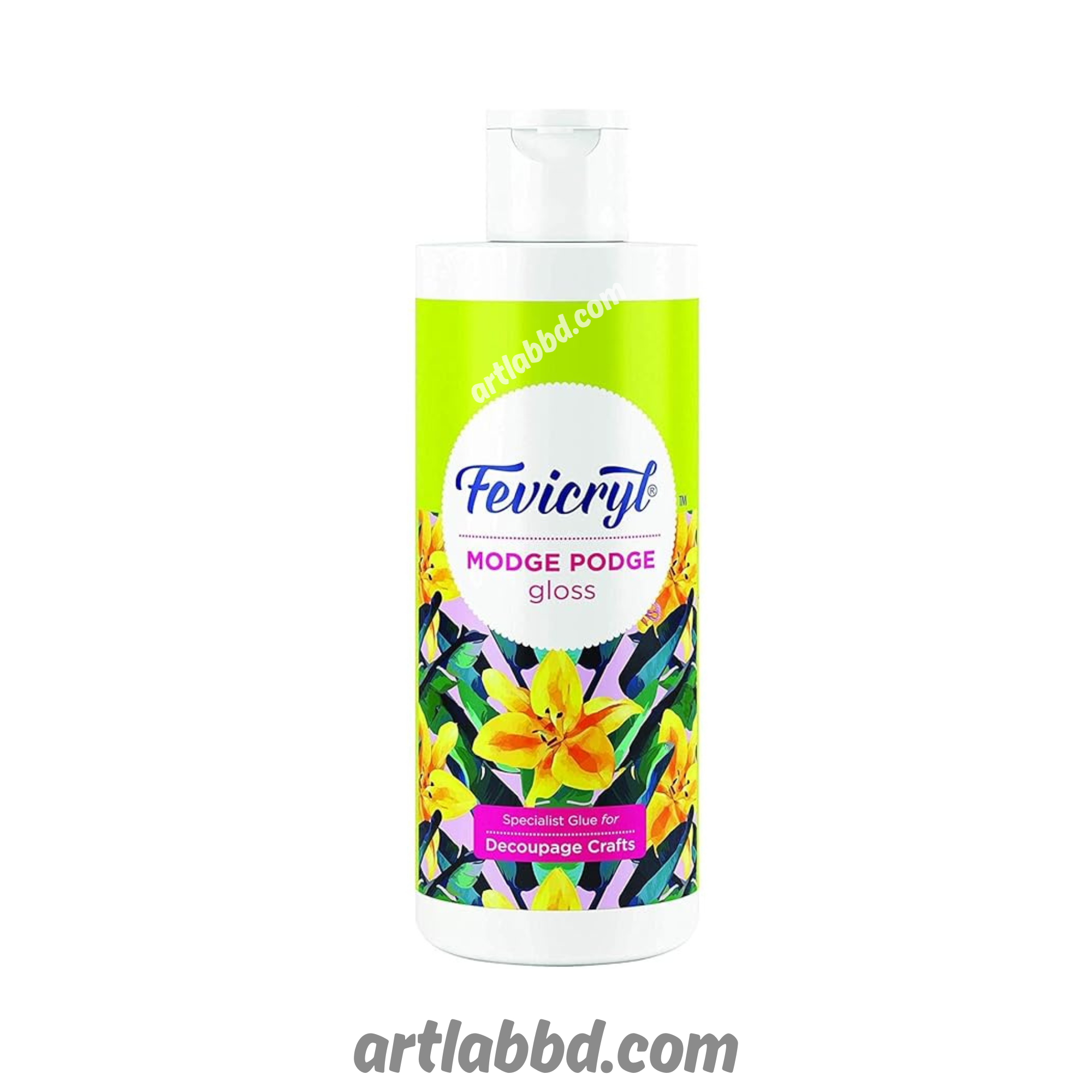 Fevicryl Modge Podge Gloss